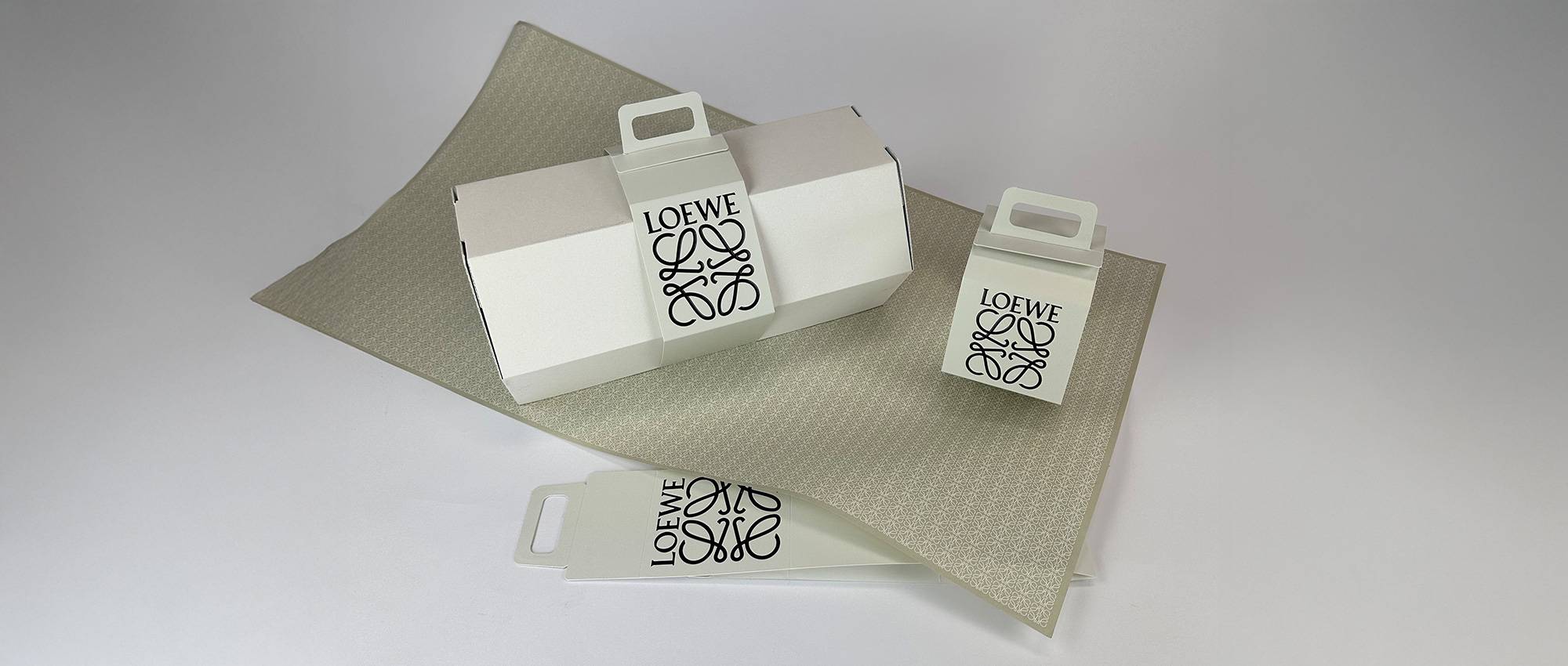 RollorPremium-Loewe-CustomerCase